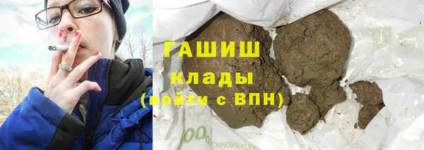 стаф Алзамай