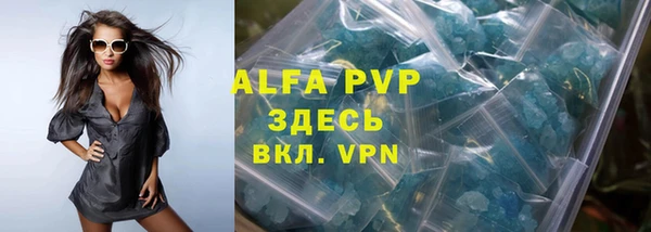 стаф Алзамай