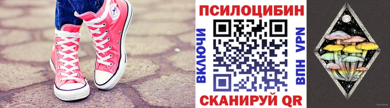 blacksprut онион  Гаврилов Посад  Псилоцибиновые грибы мицелий  сколько стоит 